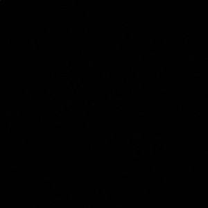 Meet your Posher, Angus